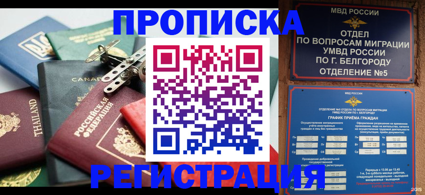 временная регистрация недорого в Тамбовской области